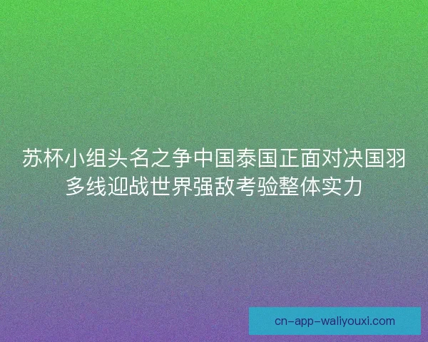 苏杯小组头名之争中国泰国正面对决国羽多线迎战世界强敌考验整体实力