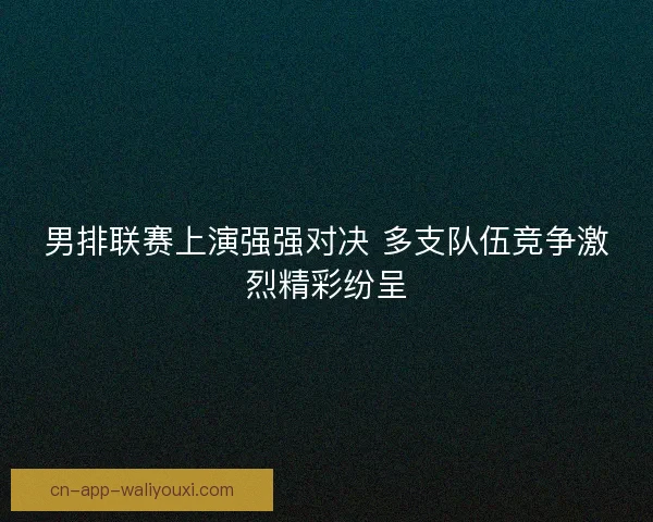 男排联赛上演强强对决 多支队伍竞争激烈精彩纷呈