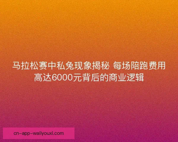 马拉松赛中私兔现象揭秘 每场陪跑费用高达6000元背后的商业逻辑